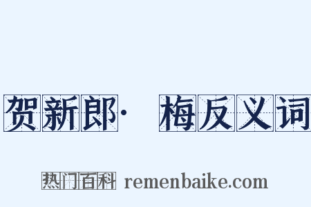 贺新郎·梅反义词是什么意思的图片